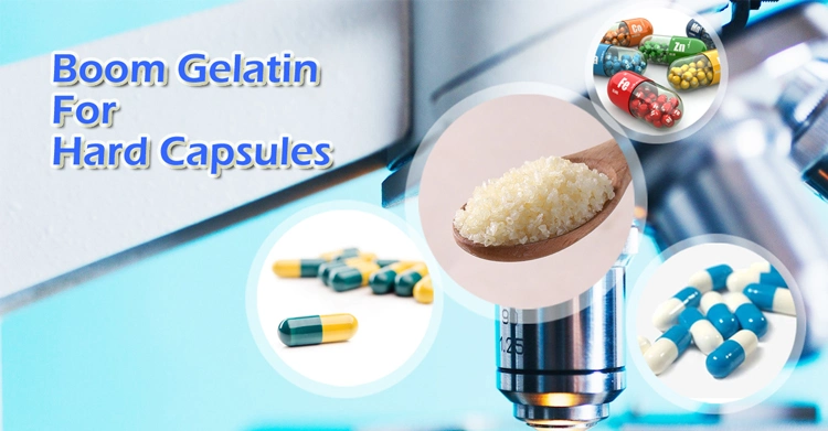 Halal Pharmaceutical Gelatin 250 Bloom for Making Hard Capsule